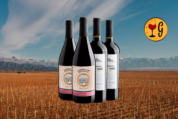 Kit 4 Vinhos Malbec & Cabernet Sauvignon – Potência e Elegância em Dose Dupla - Thumbnail