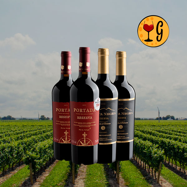 Kit 4 Vinhos Malbec & Touriga Nacional – Dupla de Reservas Premiadas em Promoção - Oferta