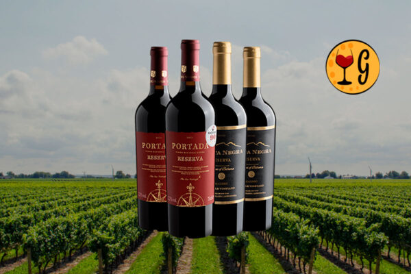 Kit 4 Vinhos Malbec & Touriga Nacional – Dupla de Reservas Premiadas em Promoção - Thumbnail