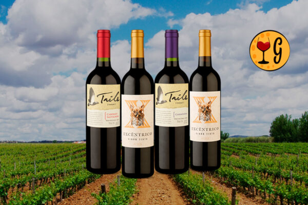 Kit 4 Vinhos Suaves – Descomplicados para Happy Hour e Jantares Leves - Thumbnail