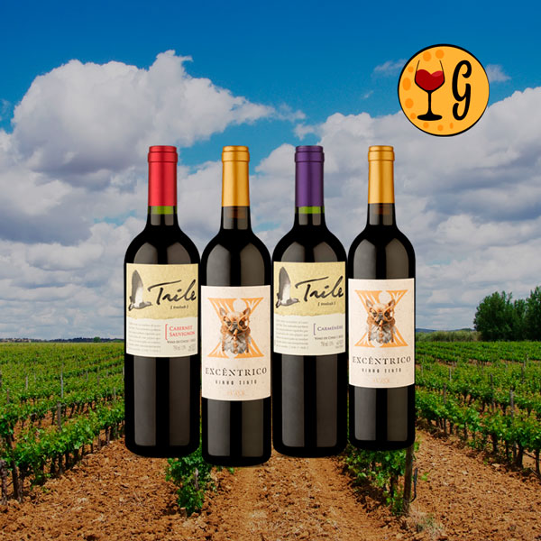 Kit 4 Vinhos Suaves – Descomplicados para Happy Hour e Jantares Leves - Oferta