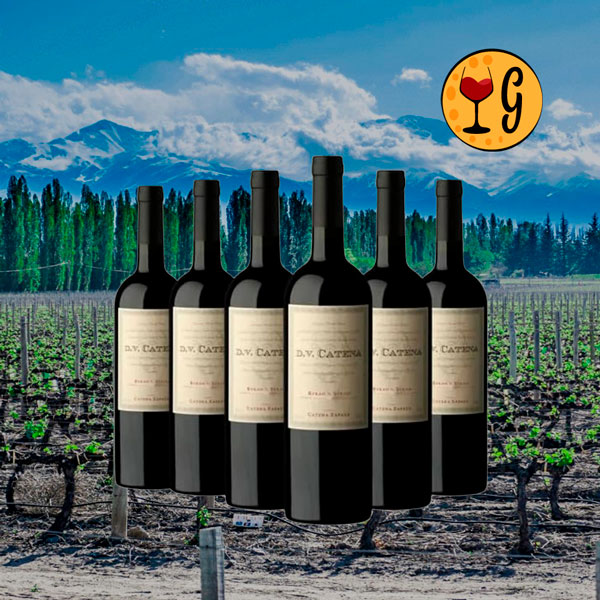 Kit 6 Garrafas Catena Zapata DV Catena Syrah-Syrah 2022 – Elegância & Potência em Sexteto Argentino - Oferta