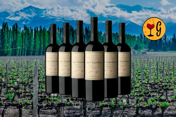 Kit 6 Garrafas Catena Zapata DV Catena Syrah-Syrah 2022 – Elegância & Potência em Sexteto Argentino - Thumbnail