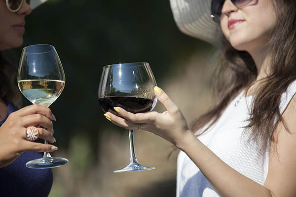 Kit 6 Garrafas Esporão Pé Tinto e Branco – Excelência do Alentejo em Duas Cores com Custo-Benefício Surpreendente - Brindando
