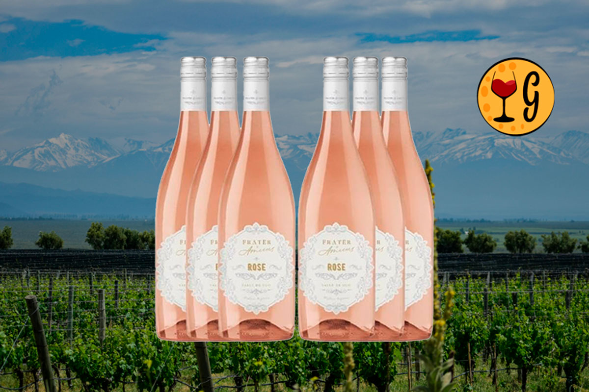 Kit 6 Garrafas Frater & Amicus Rosé 2020 – Brinde à Amizade em Dose ...