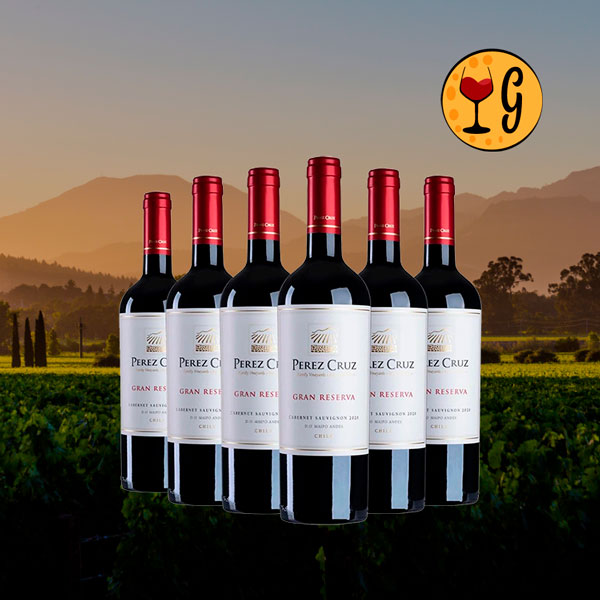 Kit 6 Garrafas Perez Cruz Gran Reserva Cabernet Sauvignon 2021 – Excelência do Maipo Multiplicada em Seis - Oferta