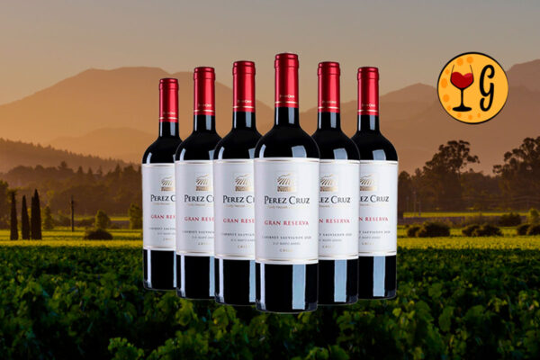 Kit 6 Garrafas Perez Cruz Gran Reserva Cabernet Sauvignon 2021 – Excelência do Maipo Multiplicada em Seis - Thumbnail