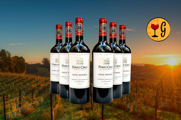 Kit 6 Garrafas Perez Cruz Gran Reserva Cabernet Sauvignon 2022 – Potência e Elegância Andina Multiplicadas por Seis - Thumbnail