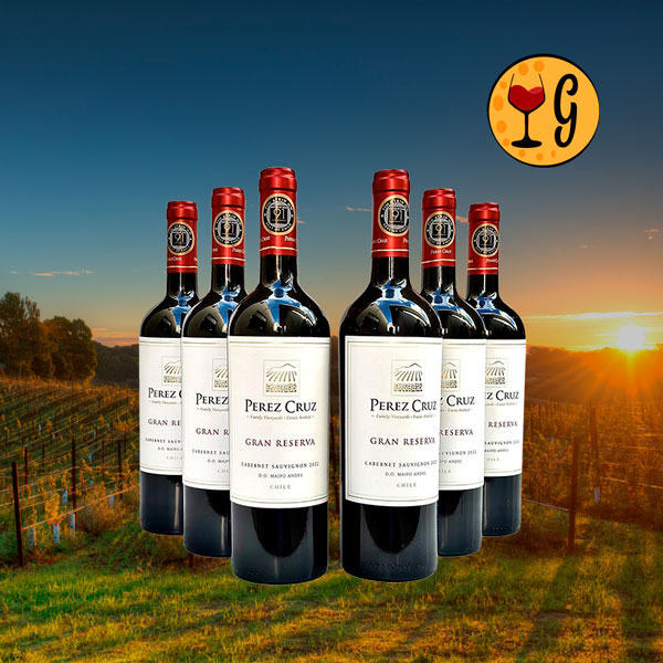 Kit 6 Garrafas Perez Cruz Gran Reserva Cabernet Sauvignon 2022 – Potência e Elegância Andina Multiplicadas por Seis - Oferta