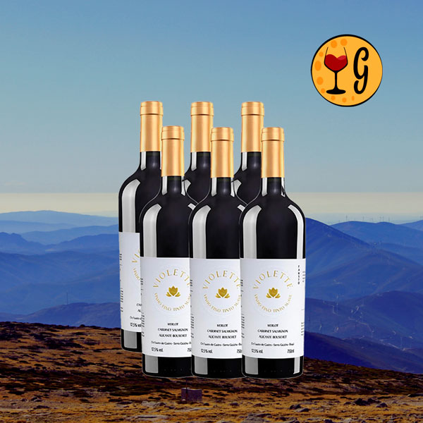 Kit 6 Garrafas Pizzato Fausto Violette Suave – Frutas & Doçura em Sexteto Brasileiro - Oferta
