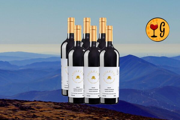 Kit 6 Garrafas Pizzato Fausto Violette Suave – Frutas & Doçura em Sexteto Brasileiro - Thumbnail