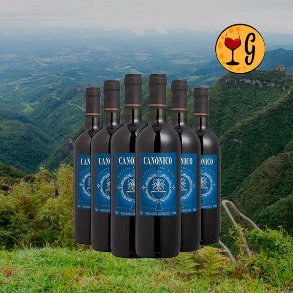 Kit 6 Garrafas Salton Canônico Tinto – Tradição & Doçura em Dose Séxtupla - Oferta