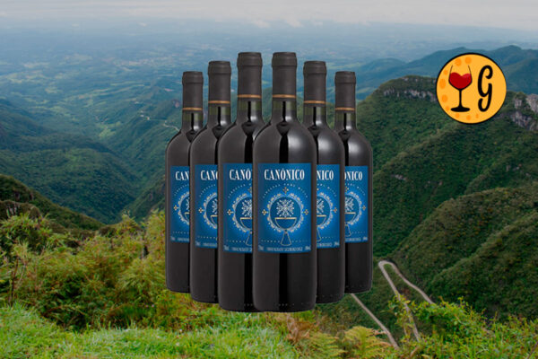Kit 6 Garrafas Salton Canônico Tinto – Tradição & Doçura em Dose Séxtupla - Thumbnail