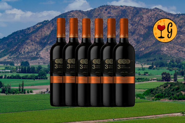 Kit 6 Garrafas Santa Rita Tres Medallas Carménère – Sabor e Tradição Chilena Multiplicados por Seis - Thumbnail