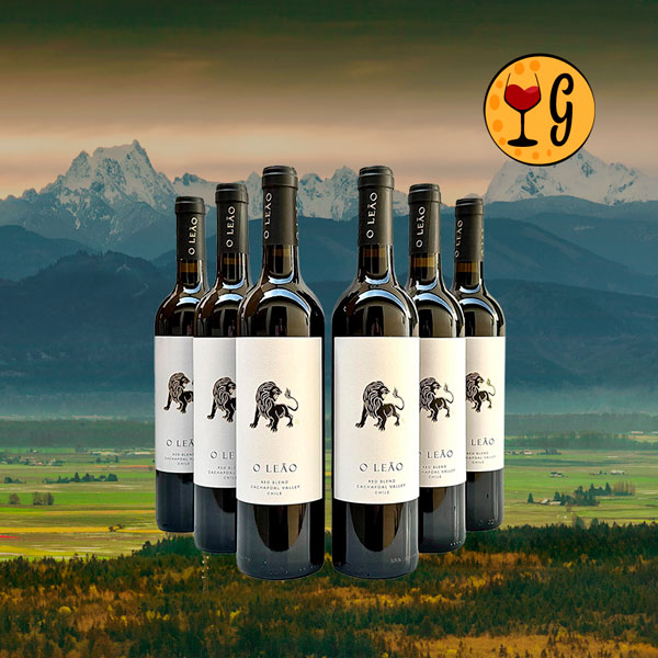 Kit 6 Garrafas Vik O Leão Red Blend 2021 – Força e Elegância Chilena Multiplicadas por Seis - Oferta
