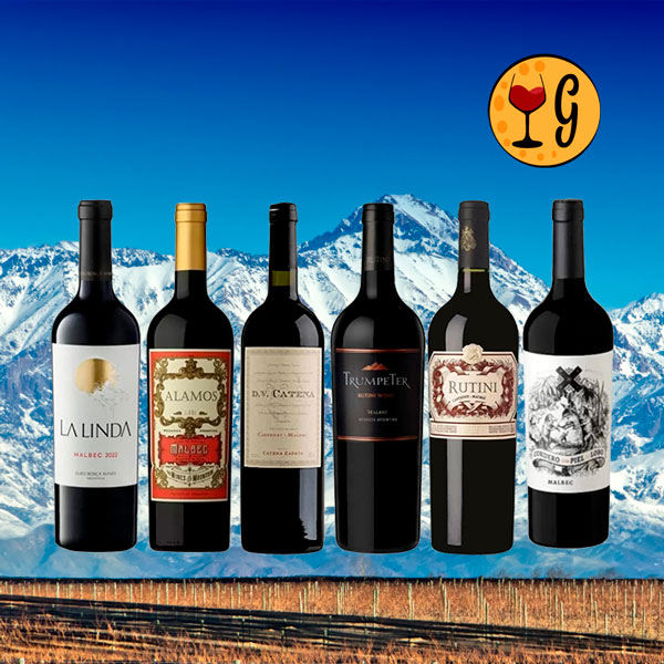 Kit 6 Vinhos Argentinos Imperdíveis – Grandes Rótulos de Vinícolas Renomadas - Oferta