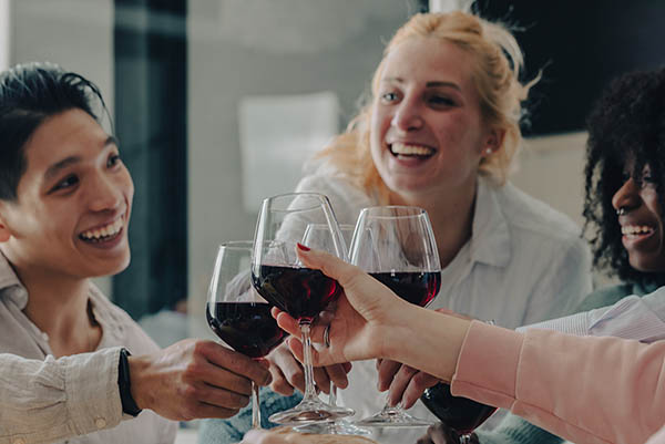 Kit 6 Vinhos Argentinos Imperdíveis – Grandes Rótulos de Vinícolas Renomadas - Brindando