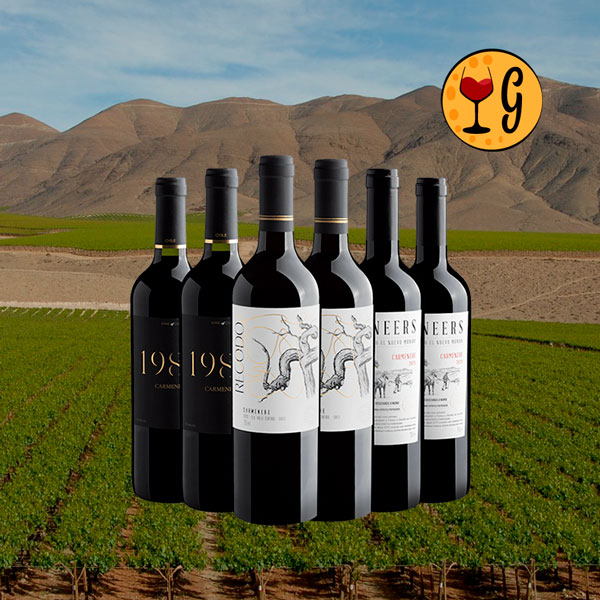 Kit 6 Vinhos Carménère – 6 Tintos Chilenos Autênticos para Carnes & Massas a Preço Promocional - Oferta