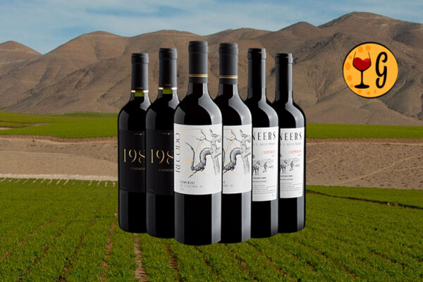 Kit 6 Vinhos Carménère – 6 Tintos Chilenos Autênticos para Carnes & Massas a Preço Promocional - Thumbnail
