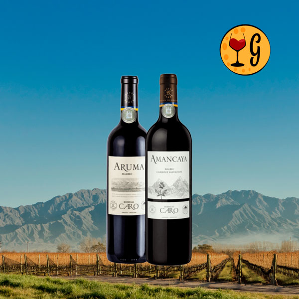Kit Aruma e Amancaya 2021 – Sofisticação Franco-Argentina em Duas Garrafas - Oferta