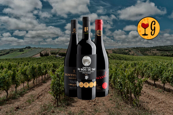 Kit Trio Premiado do Velho Mundo – 3 Vinhos da França, Portugal e Itália por R$79,90 cada - Thumbnail