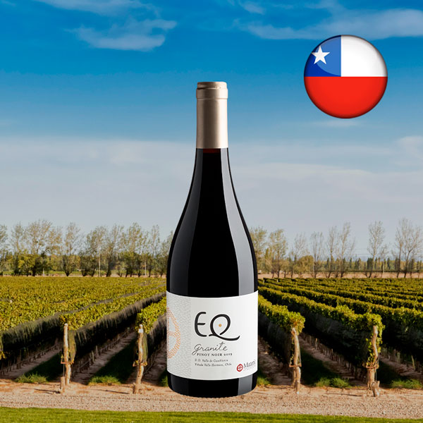Matetic EQ Granite Pinot Noir Valle de Casablanca DO - Oferta