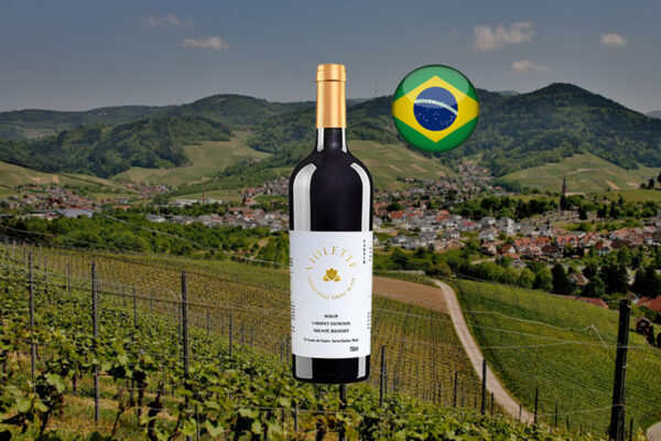 Pizzato Fausto Violette Suave 2021 - Thumbnail
