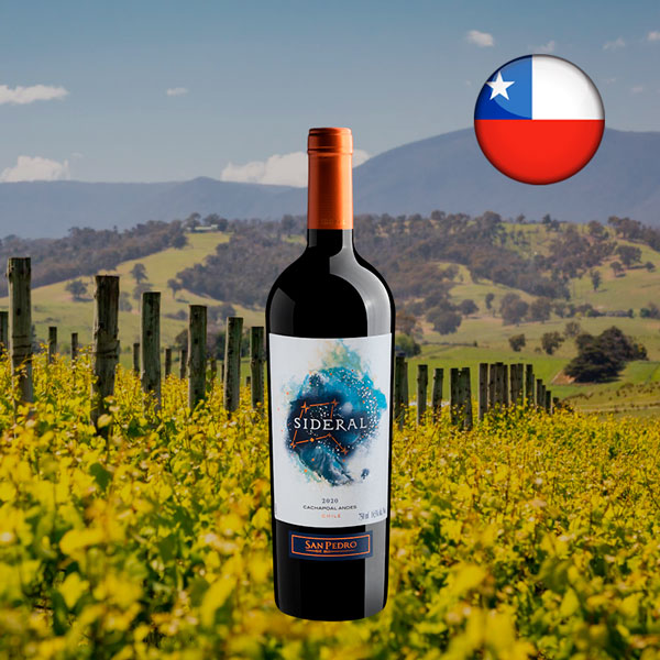 San Pedro Sideral 2020 - Oferta