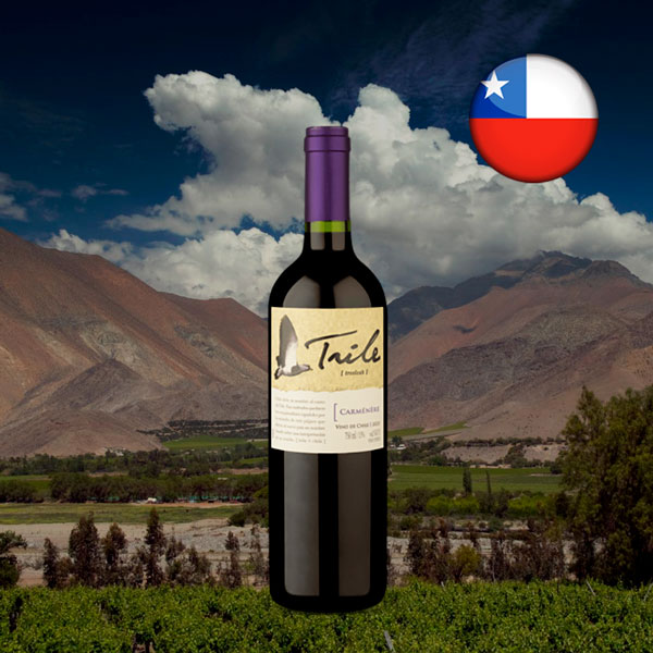 Trile Carmenérè 2023 - Oferta
