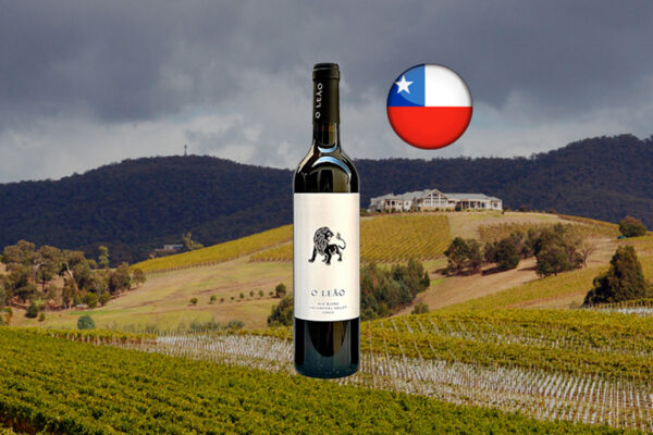 Vik O Leão Red Blend 2021 - Thumbnail