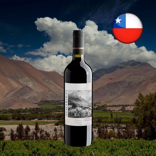 Aguaribay Cabernet Sauvignon 2024 - Oferta