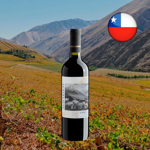 Aguaribay Cabernet Sauvignon 2024 - Oferta