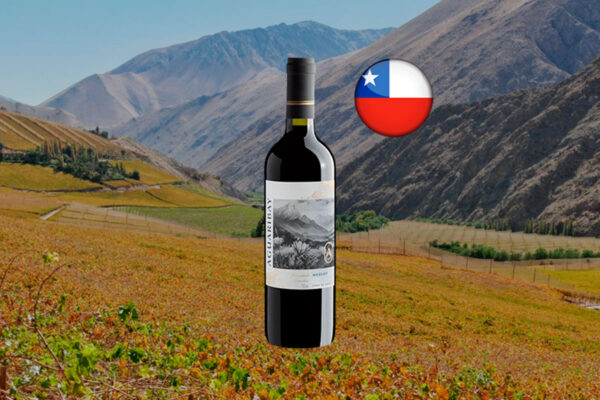 Aguaribay Merlot 2024 - Thumbnail
