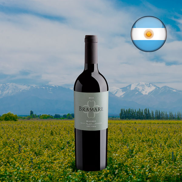 Cobos Bramare Malbec Valle de Uco 2022 - Oferta