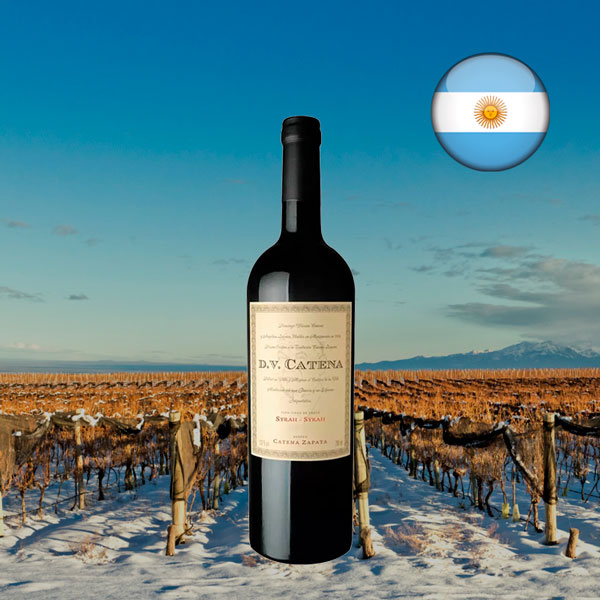 DV Catena Syrah-Syrah 2018 - Oferta