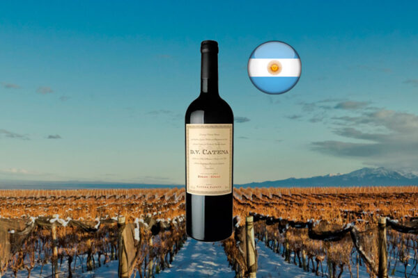 DV Catena Syrah-Syrah 2018 - Thumbnail