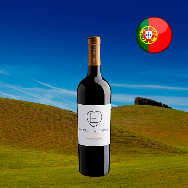 Ervideira Coudelaria Grande Escolha 2021 - Oferta