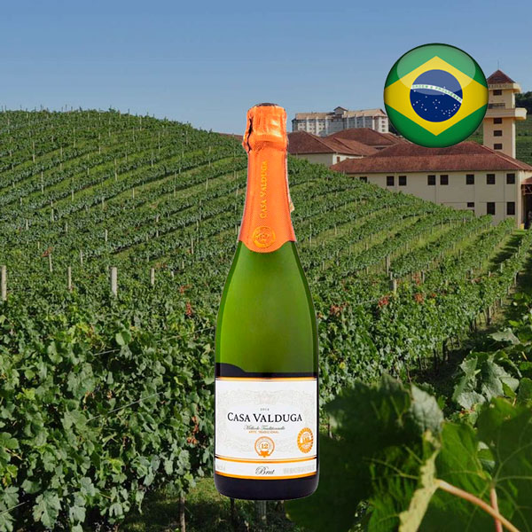 Espumante Casa Valduga Arte Brut - Oferta