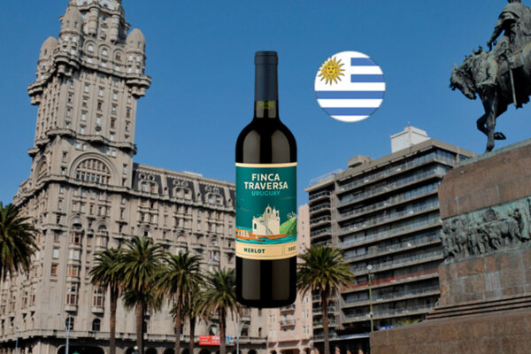 Finca Traversa Merlot 2023 - Thumbnail