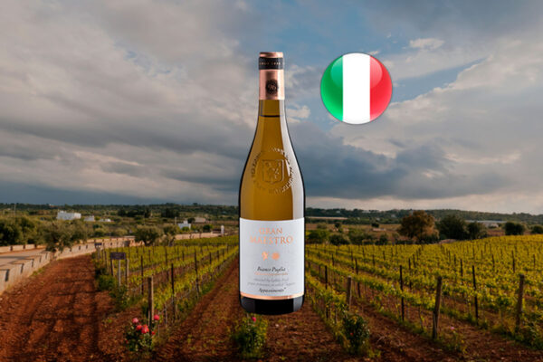 Gran Maestro Bianco Appassimento Puglia IGT 2024 - Thumbnail