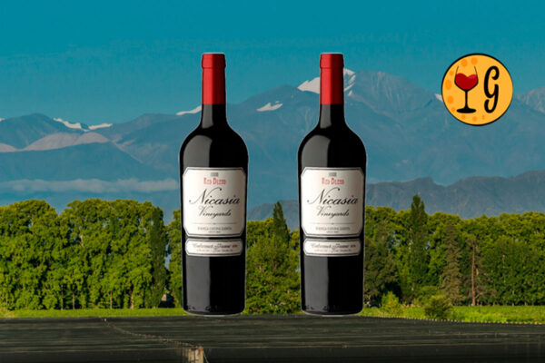 Kit 2 Garrafas Nicasia Vineyards Red Blend Cabernet Franc 2023 – Exclusividade Andina em Dose Dupla por menos de R$103 cada - Thumbnail