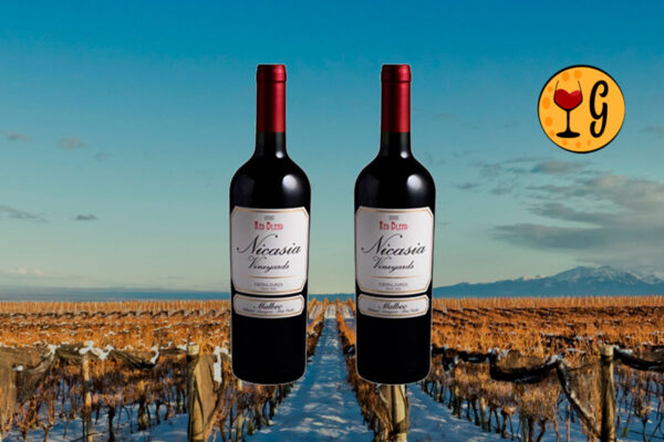 Kit 2 Garrafas Nicasia Vineyards Red Blend Malbec 2020 – Potência Andina em Dose Dupla por cerca de R$102 cada - Thumbnail