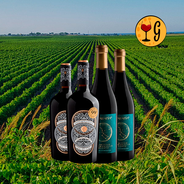 Kit 2 Vinhos Italianos 98+ Pontos Luca Maroni – Tesouros de Puglia a Preço Especial - Oferta