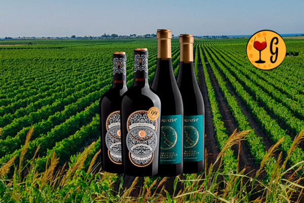 Kit 2 Vinhos Italianos 98+ Pontos Luca Maroni – Tesouros de Puglia a Preço Especial - Thumbnail