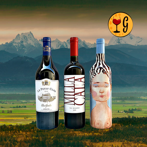 Kit 3 Vinhos Ícones do Chile – Luxo Chileno Triplicado em uma Seleção Exclusiva - Oferta