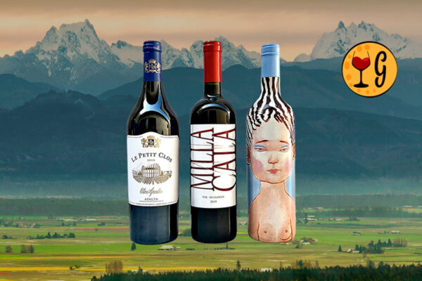 Kit 3 Vinhos Ícones do Chile – Luxo Chileno Triplicado em uma Seleção Exclusiva - Thumbnail