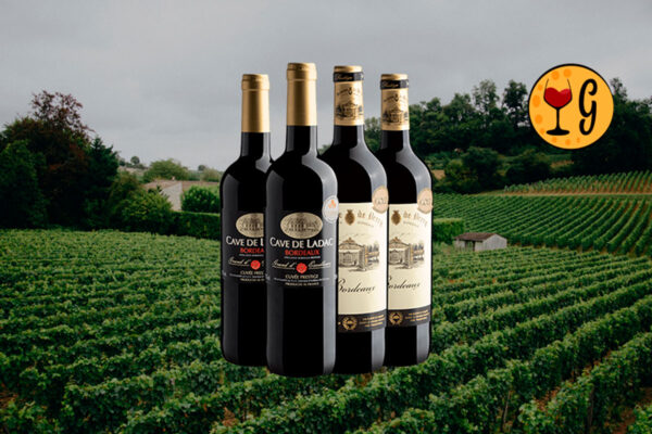 Kit 4 Bordeaux Premiados – Dois Tintos Franceses Medalhados em Dose Dupla a Preço Especial - Thumbnail