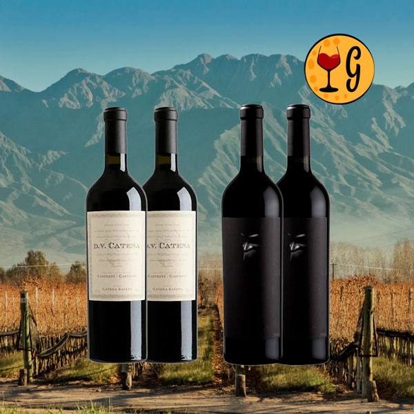 Kit 4 Garrafas DV Catena Cabernet-Malbec e Alma Negra Misterio – Legado e Mistério do Terroir Argentino - Oferta