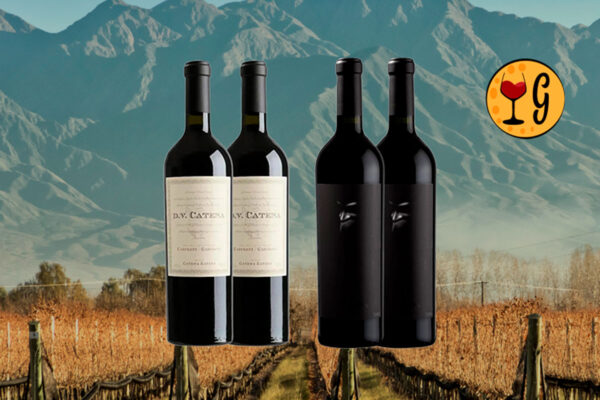Kit 4 Garrafas DV Catena Cabernet-Malbec e Alma Negra Misterio – Legado e Mistério do Terroir Argentino - Thumbnail