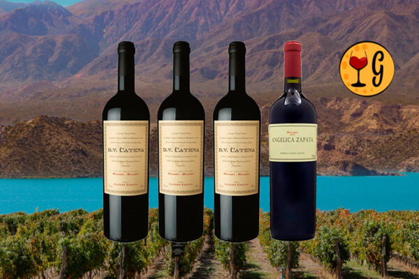 Kit 4 Garrafas DV Catena Cabernet Malbec e Angélica Zapata Malbec Alta – Legado Catena Zapata em Quatro Garrafas - Thumbnail